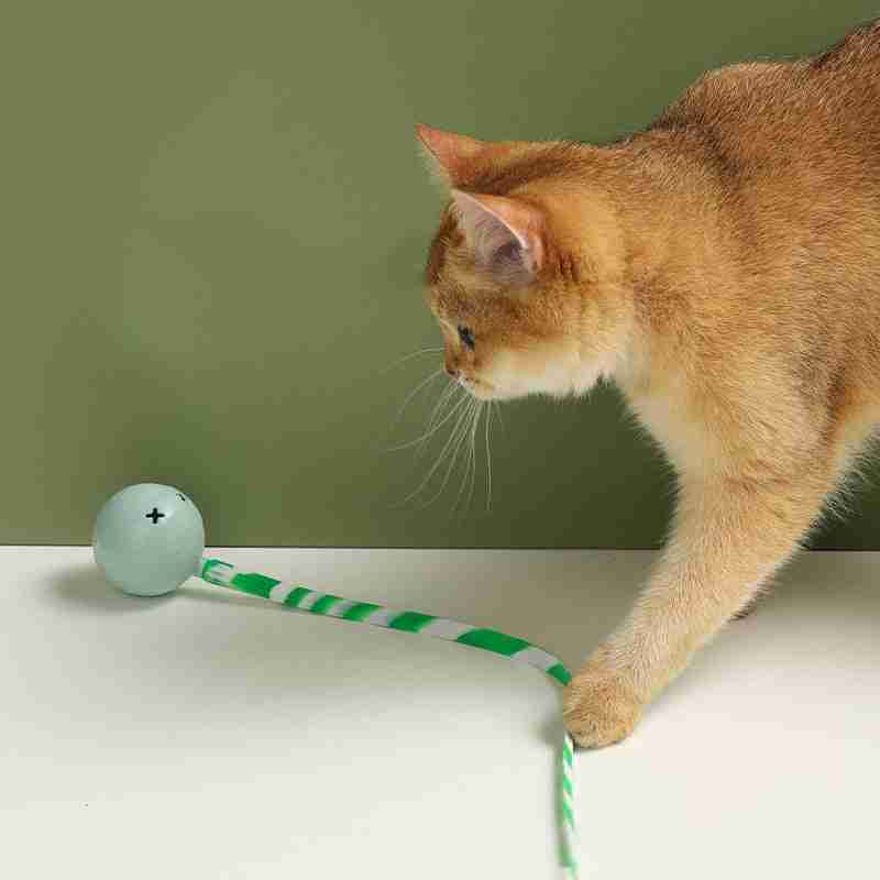 Unleash Your Cat’s Playful Side with the Interactive Electric Balls Pet Toy
