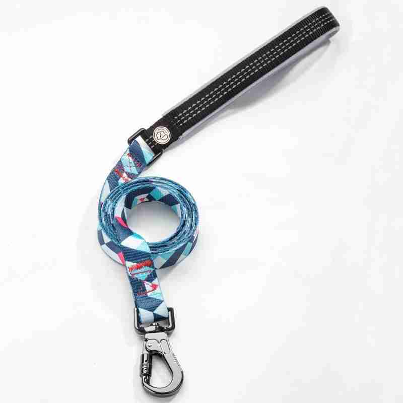 Matching patterned dog leash