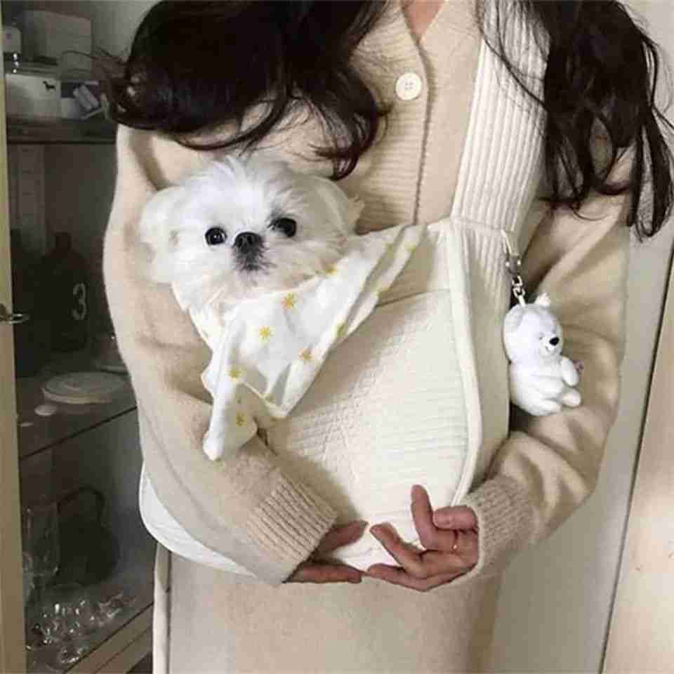 Dog puppy carrier bag with puppy inside