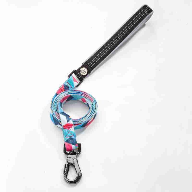 Colorful patterned dog leash with clip