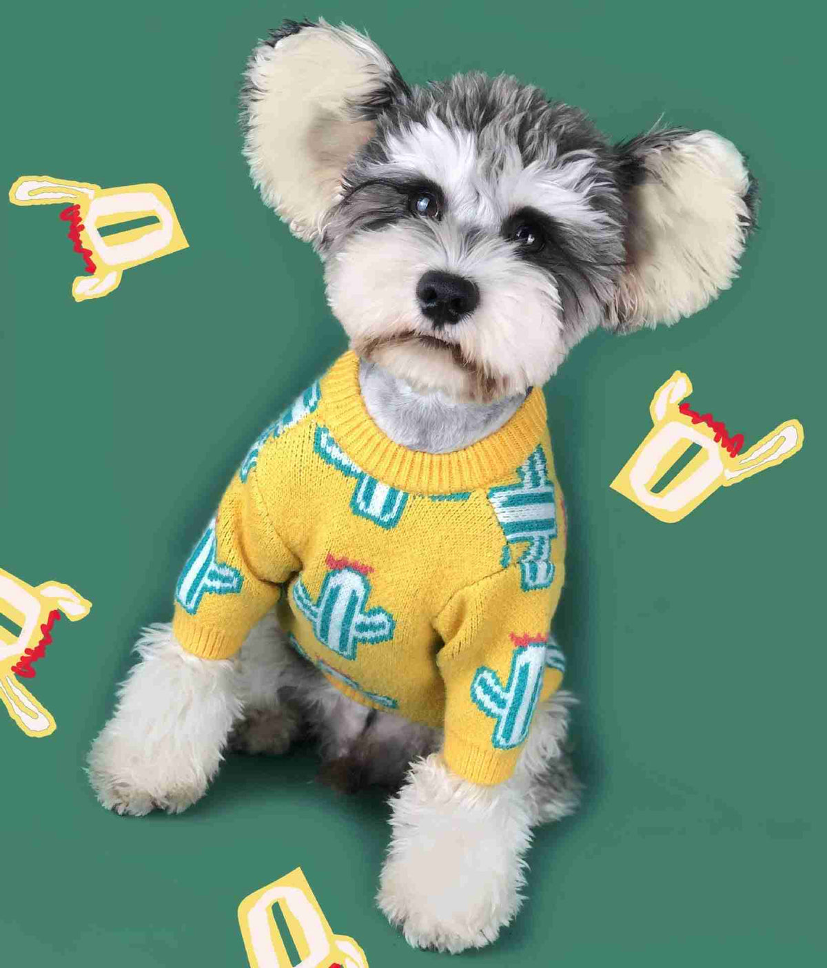 Pet cactus sweater for dogs