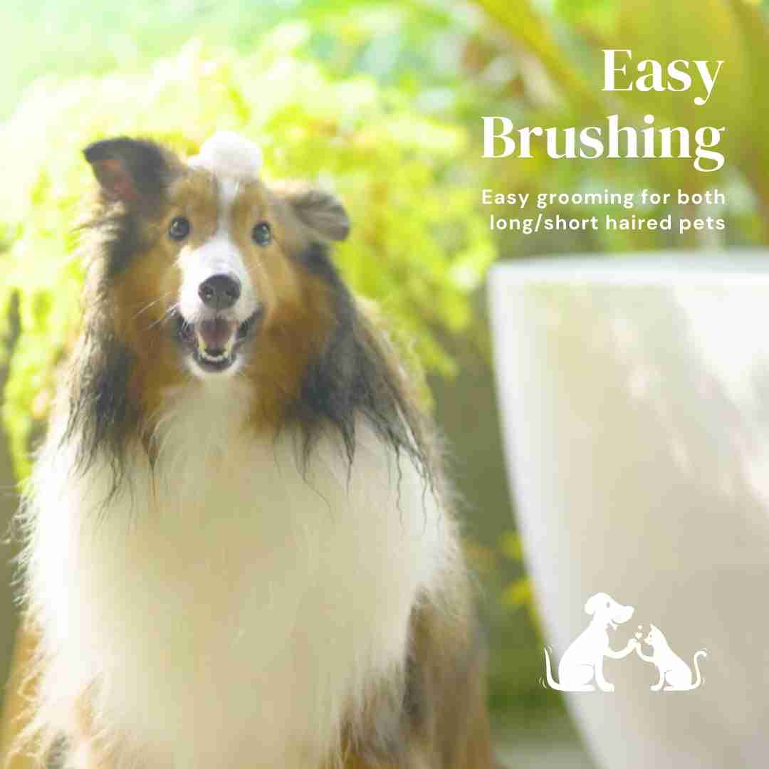 Cat and dog grooming brush with ergonomic handle
