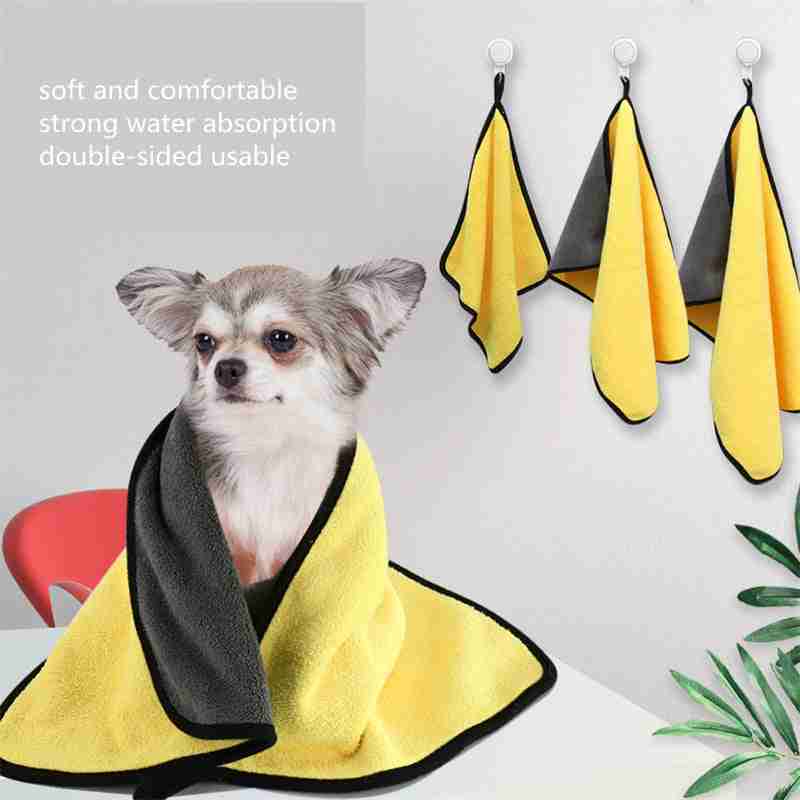 Dog wrapped in yellow towel