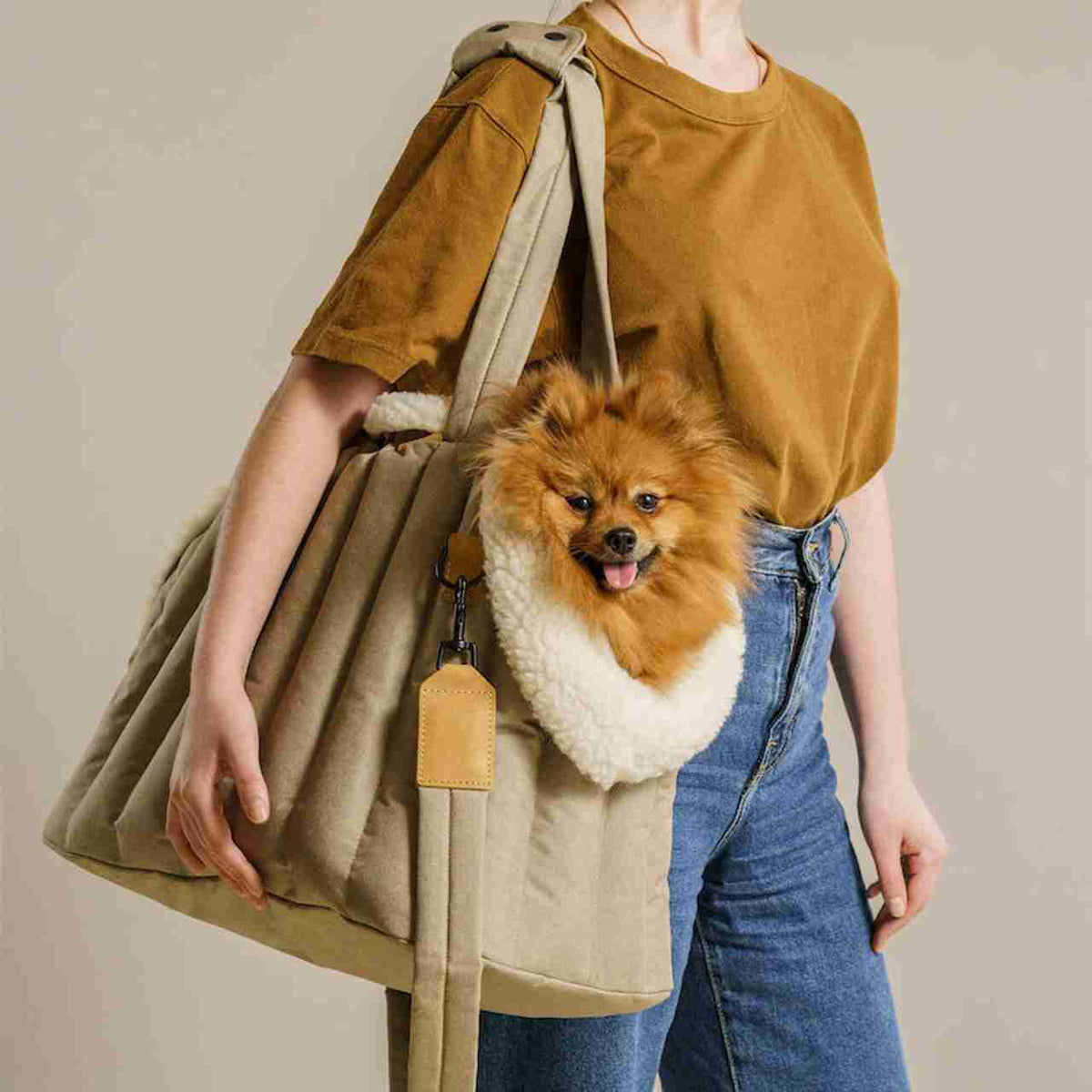 Pet dog cat bag carrier with light waterproof design