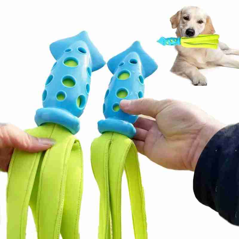Pet squeaky chew toy with blue and green design