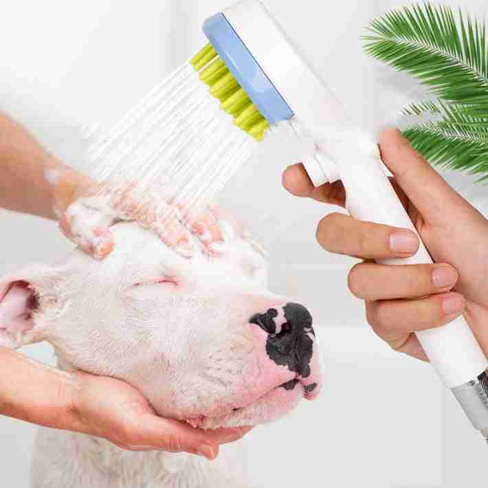 Pet bath brush with water spray