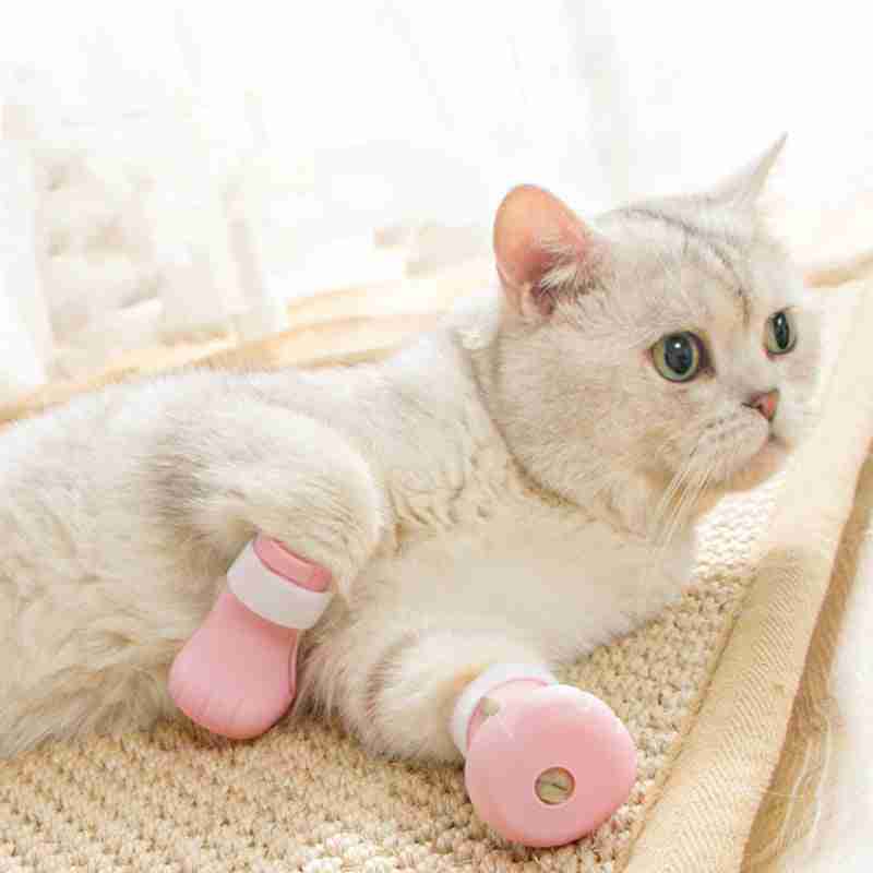 Cat with pink silicone claw cover gloves