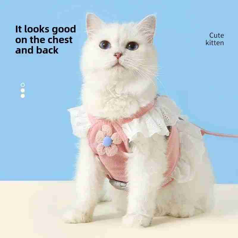 Cute kitten in frilly pet harness