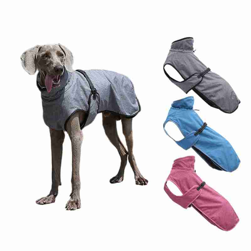 Set of colorful dog winter jackets