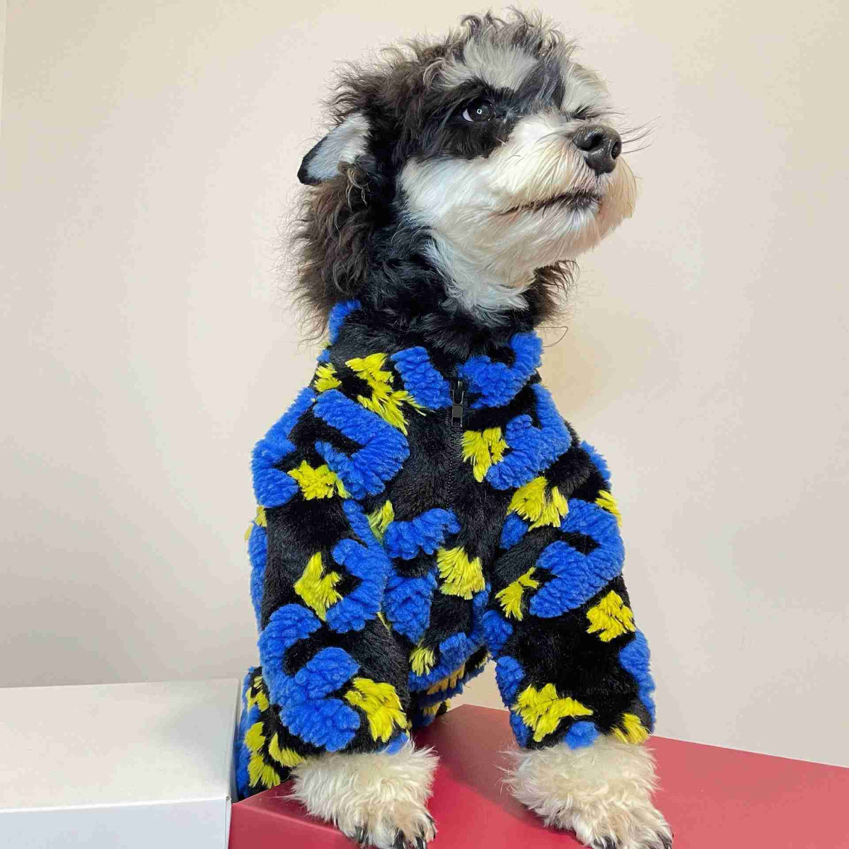 Dog in colorful fleece jacket