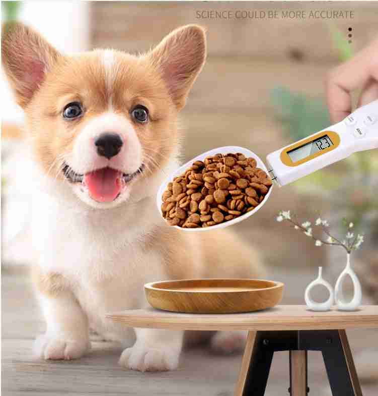 Pet feeding weighing spoon with LCD display