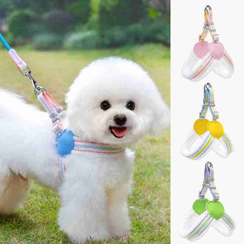 Dog leash for small medium dogs with colorful heart-shaped accessories