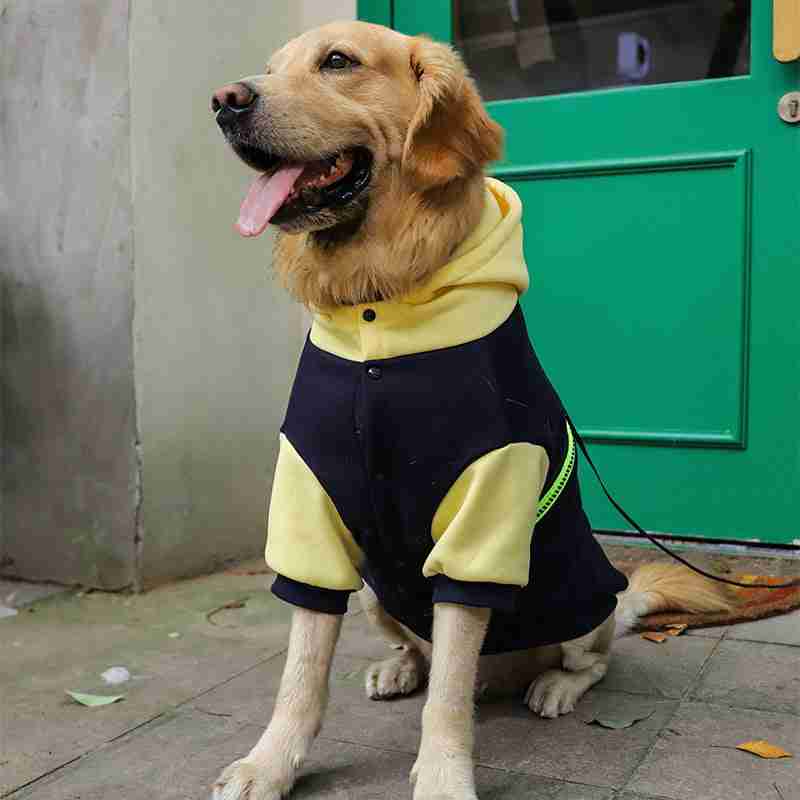 Large dog in fleece pet sweater with hoodie and transparent pocket