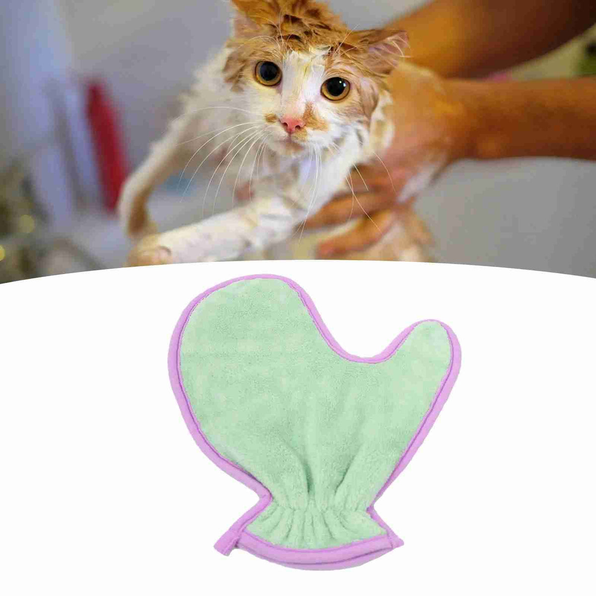 Wet gray cat being bathed with hand, pet grooming
