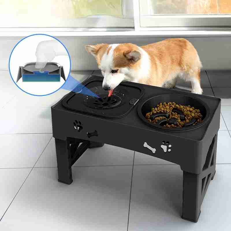 Pet slow feeder with dual bowls