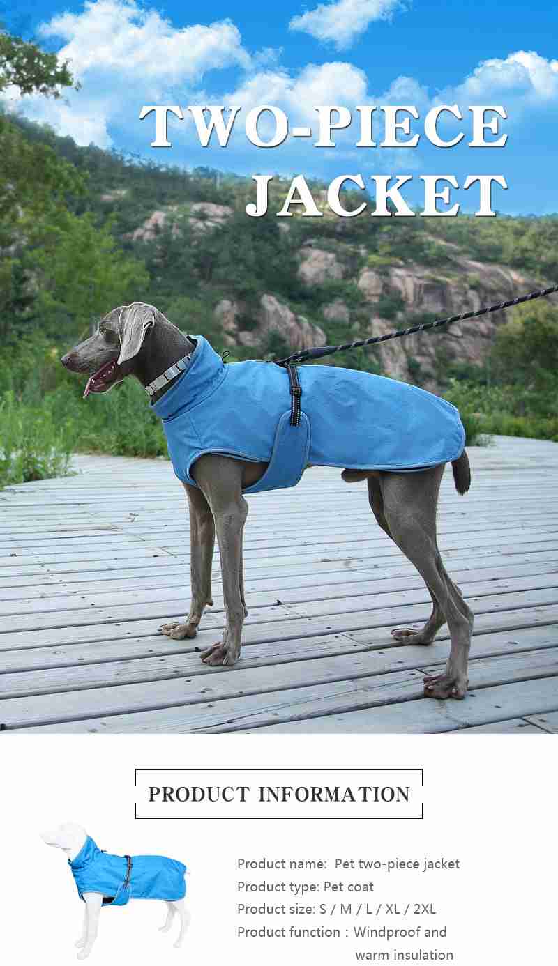 Blue pet two-piece jacket on dog
