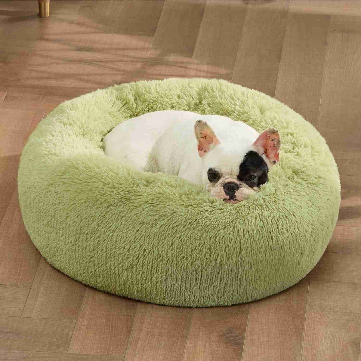 Green plush pet bed with dog resting inside