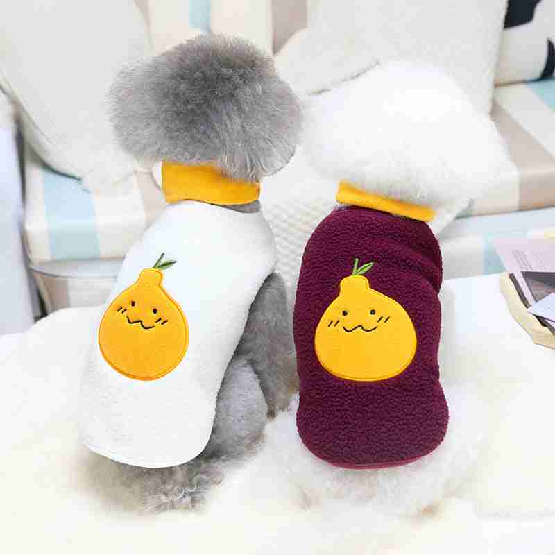 Pet clothes teddy jacket back view