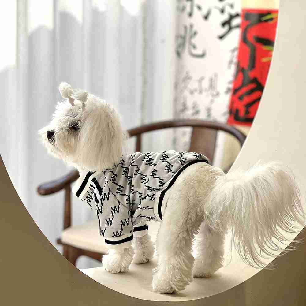 Dog in black and white hoodie
