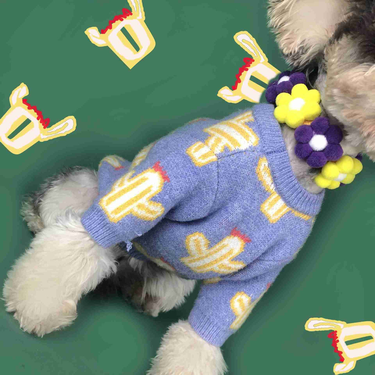 Dog wearing cactus sweater with colorful pattern