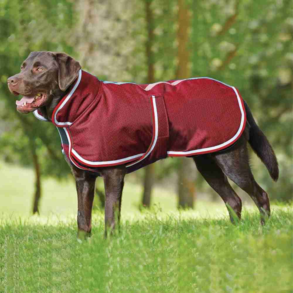 Red waterproof pet jacket close-up