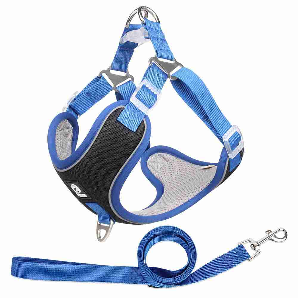 Blue adjustable pet harness and leash set