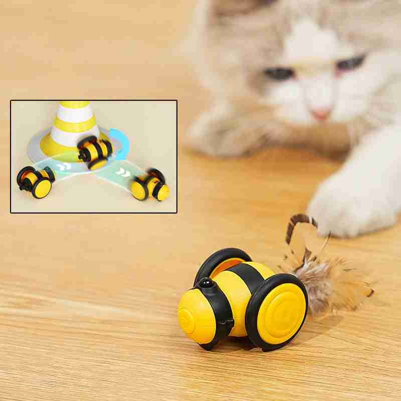 Cat playing with bee running interactive cat toy with feather