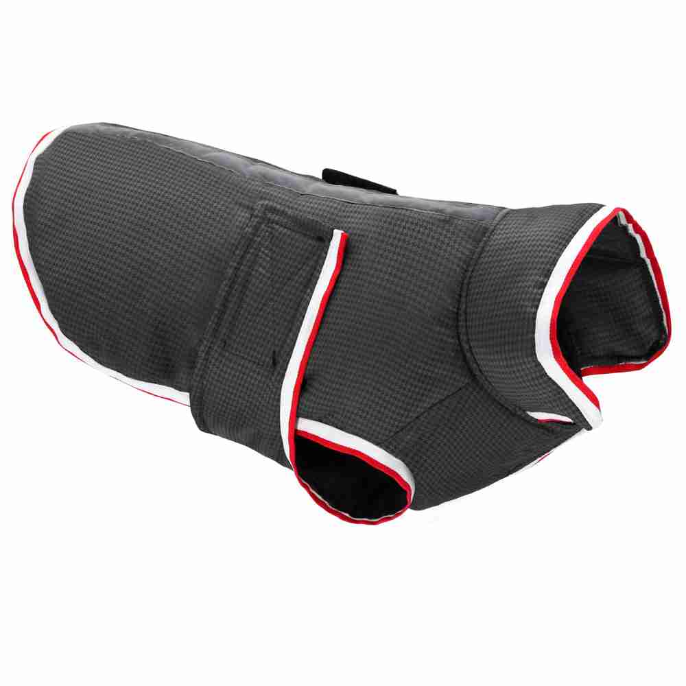 Waterproof pet jacket on dog