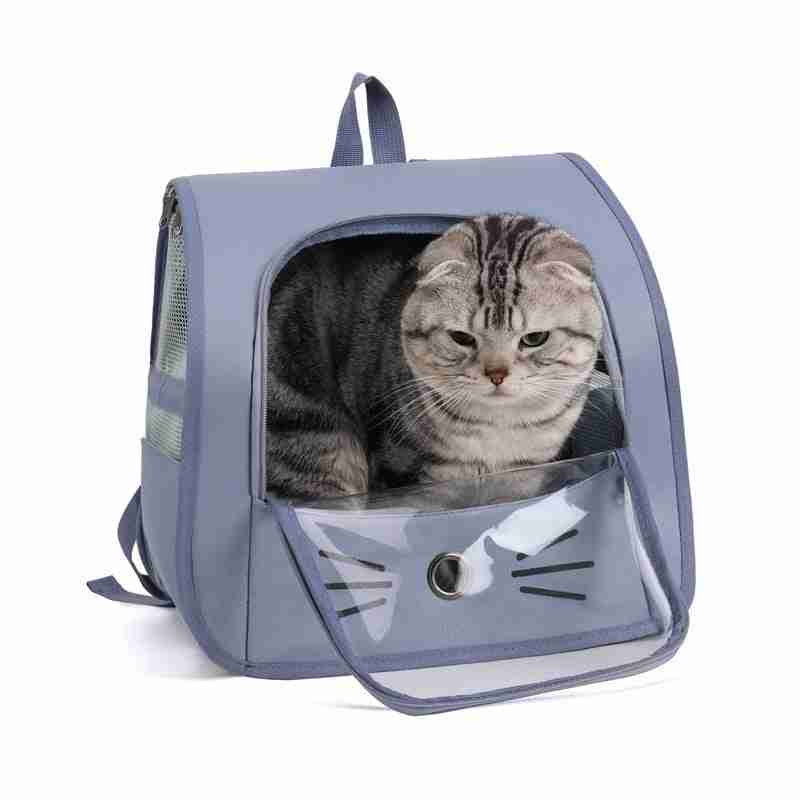 Small Dogs Cats Transport Carrier with Cat Inside