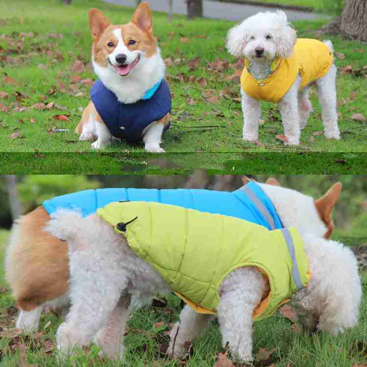 Blue and yellow reflective pet jackets laid on grass for display