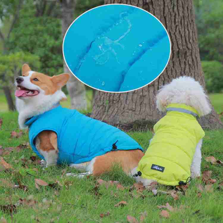 Close-up of waterproof pet jackets in blue and yellow for outdoor safety