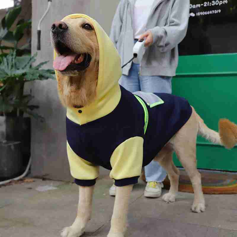 Dog wearing hoodie and sweater with fleece fabric in navy and yellow colors