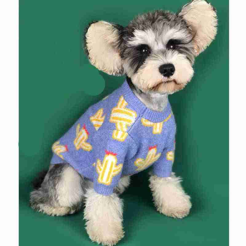 Pet cactus sweater for dogs