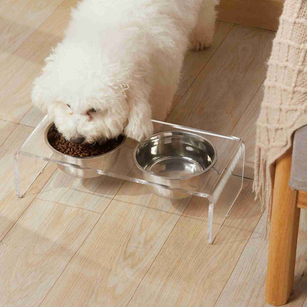 Acrylic pet feeder with dual stainless steel bowls on clear stand for small dogs and cats