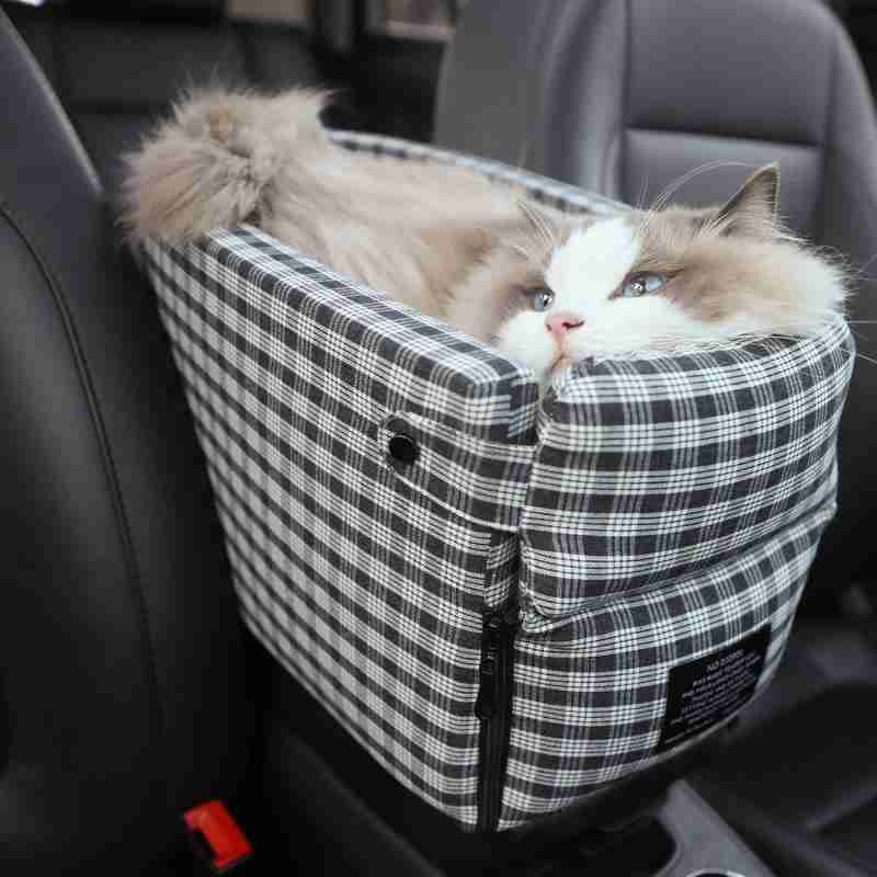 Pet Carriers for cats and small dogs