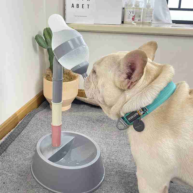 Pet water dispenser stand for dogs