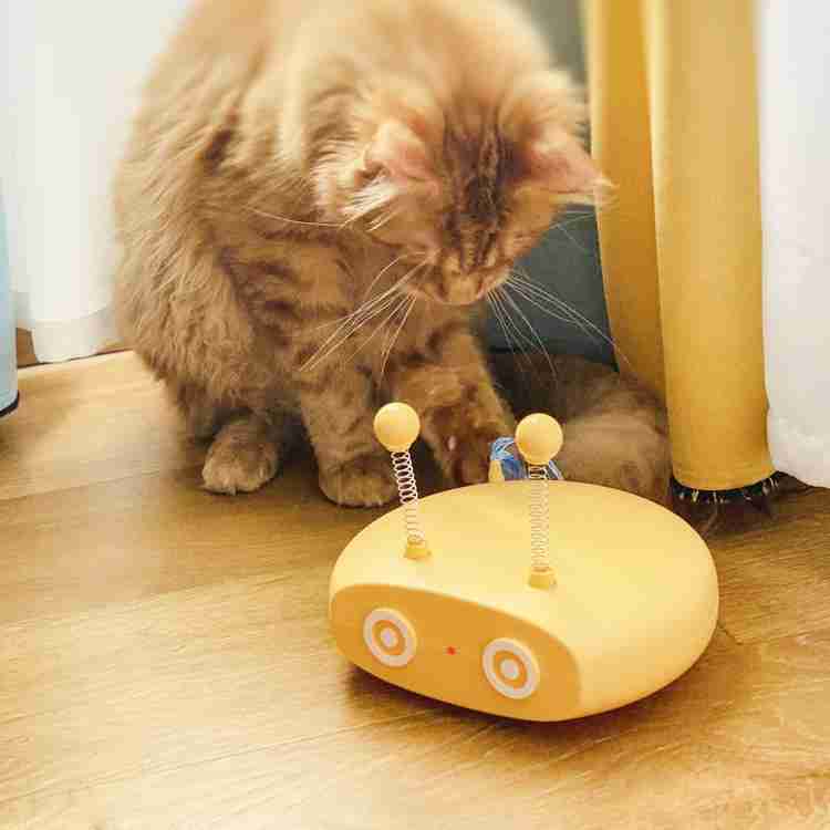 Cat chasing electric interactive teasing toy on the floor