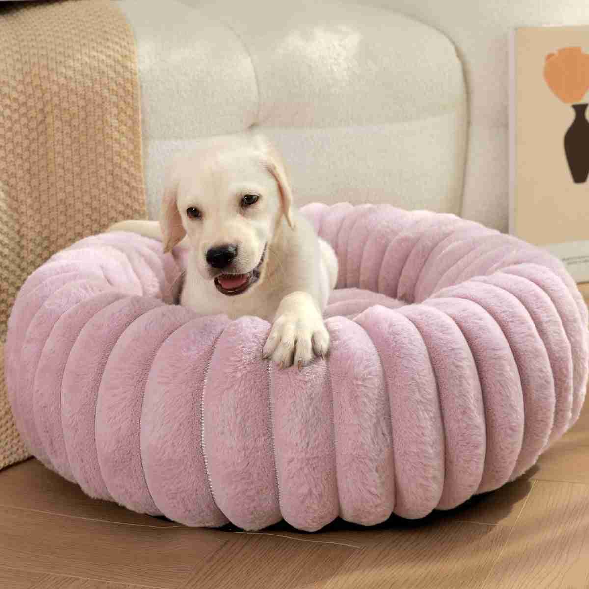 Cream plush pet bed with circular design