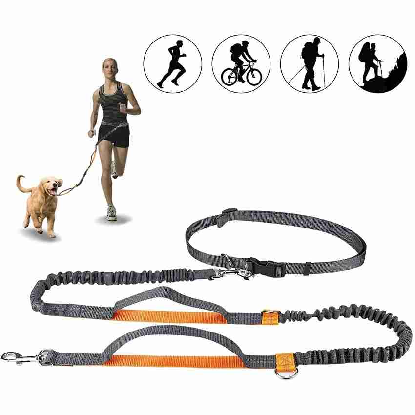 Versatile nylon pet leash for walking and jogging