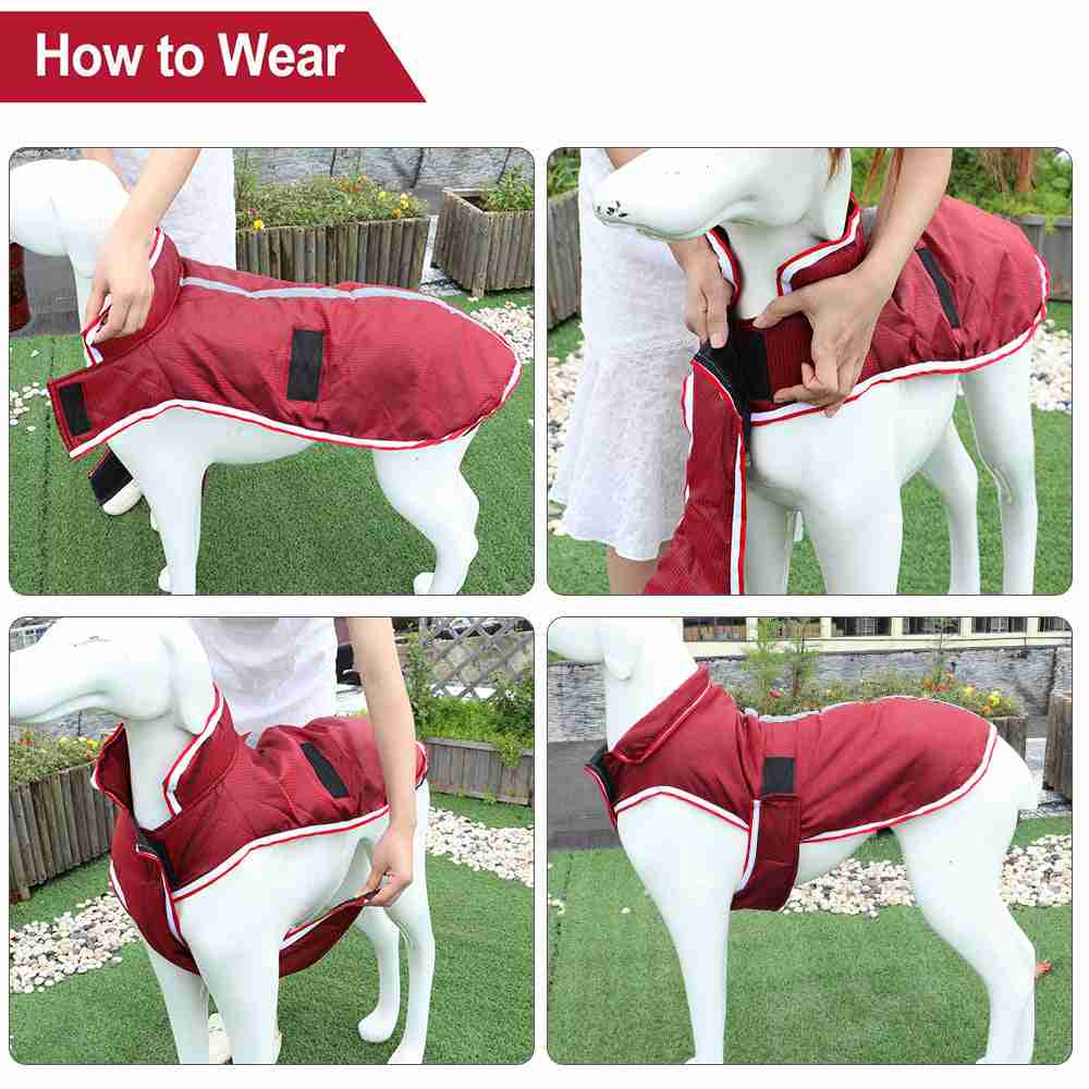 Red waterproof pet jacket on mannequin