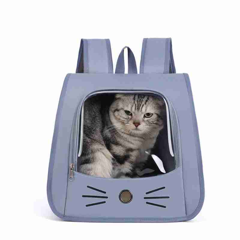 Cat inside gray pet carrier with black window, colorful design