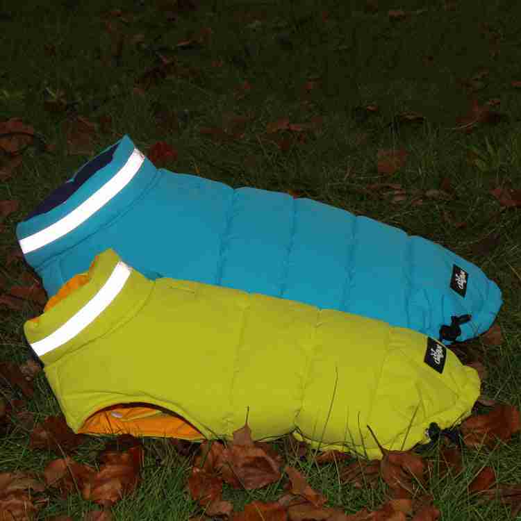 Dogs wearing colorful reflective pet jackets outdoors in park
