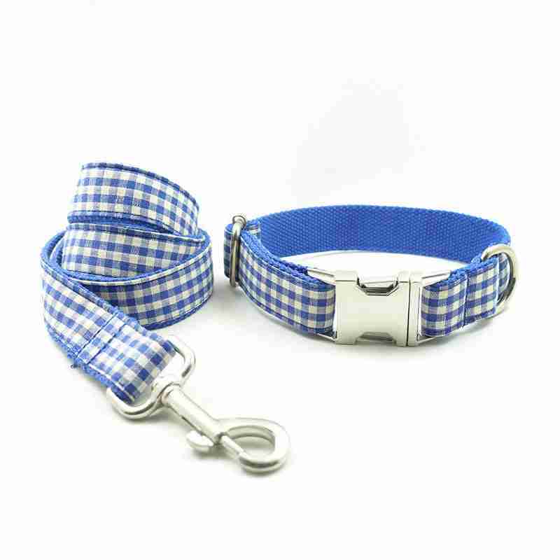 The Stylish Companion: Blue Checked Pet Leash