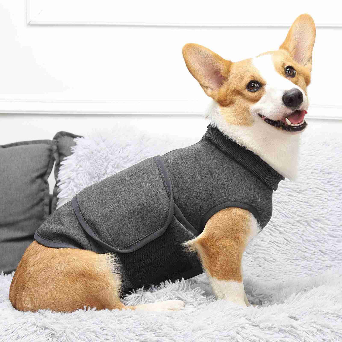 Dog wearing dark grey pet jacket