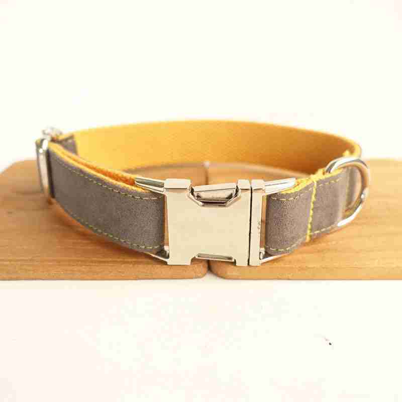 Close-up of grey and yellow pet collar with metal buckle