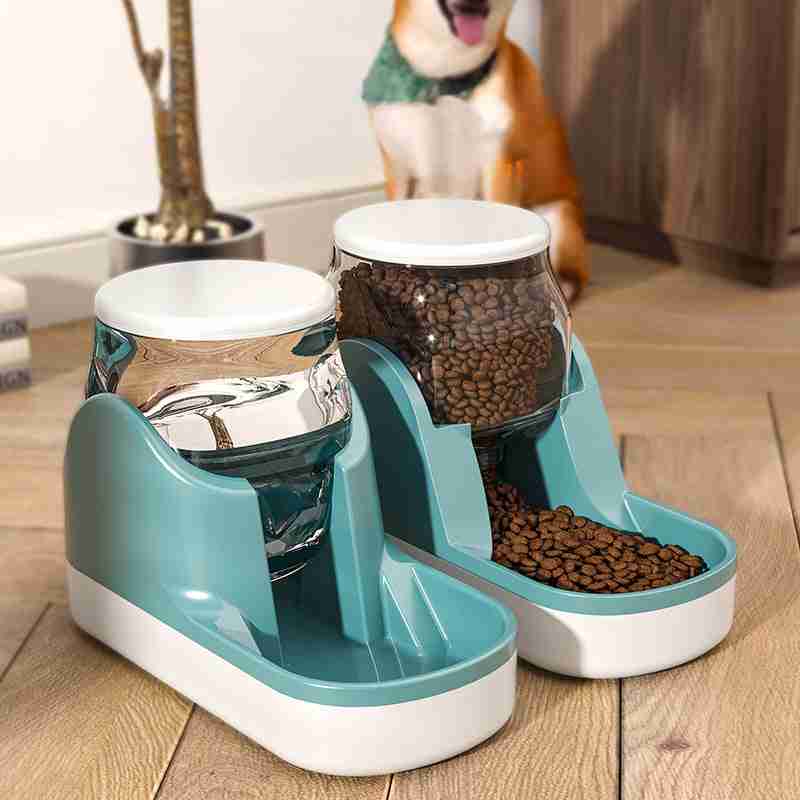 Dog sitting near pet water and food bowls