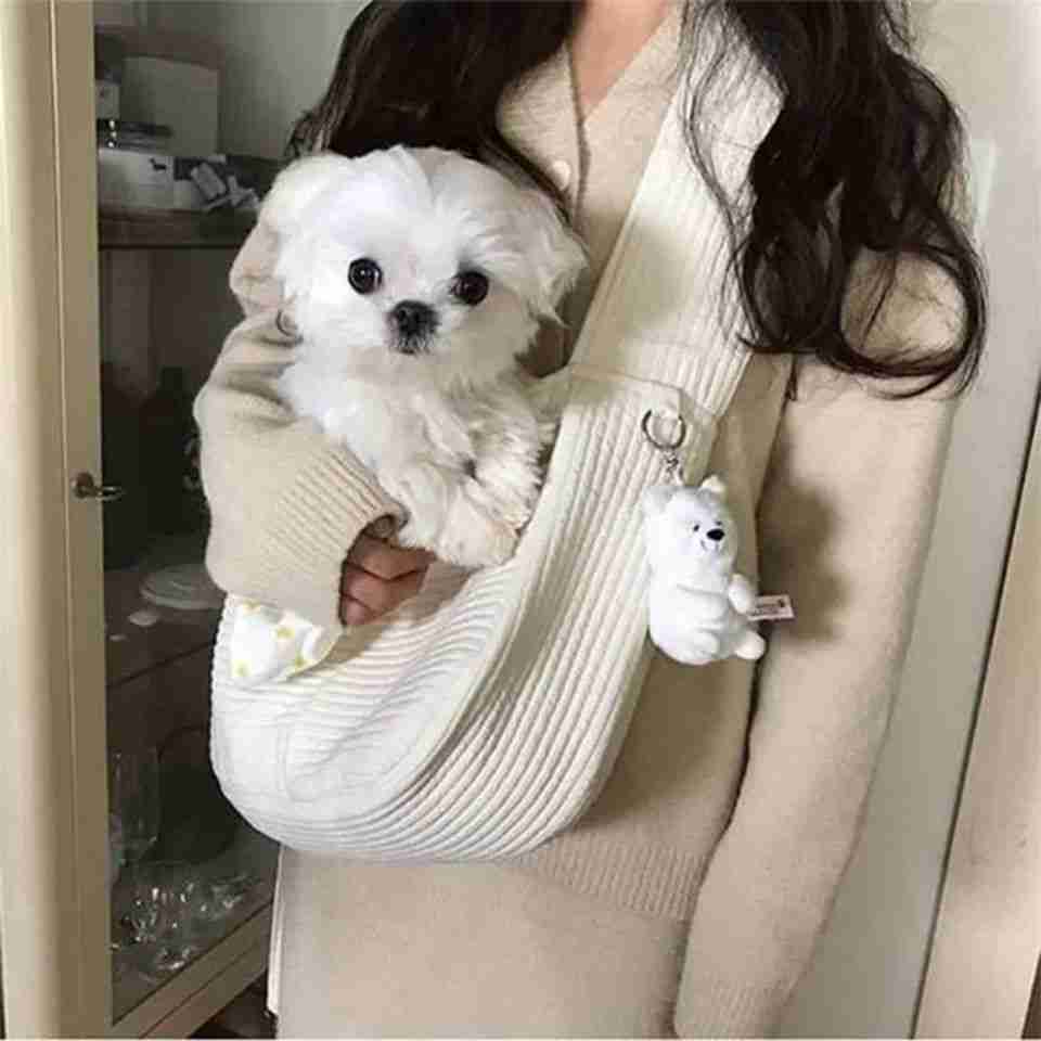 Dog puppy carrier bag with puppy inside