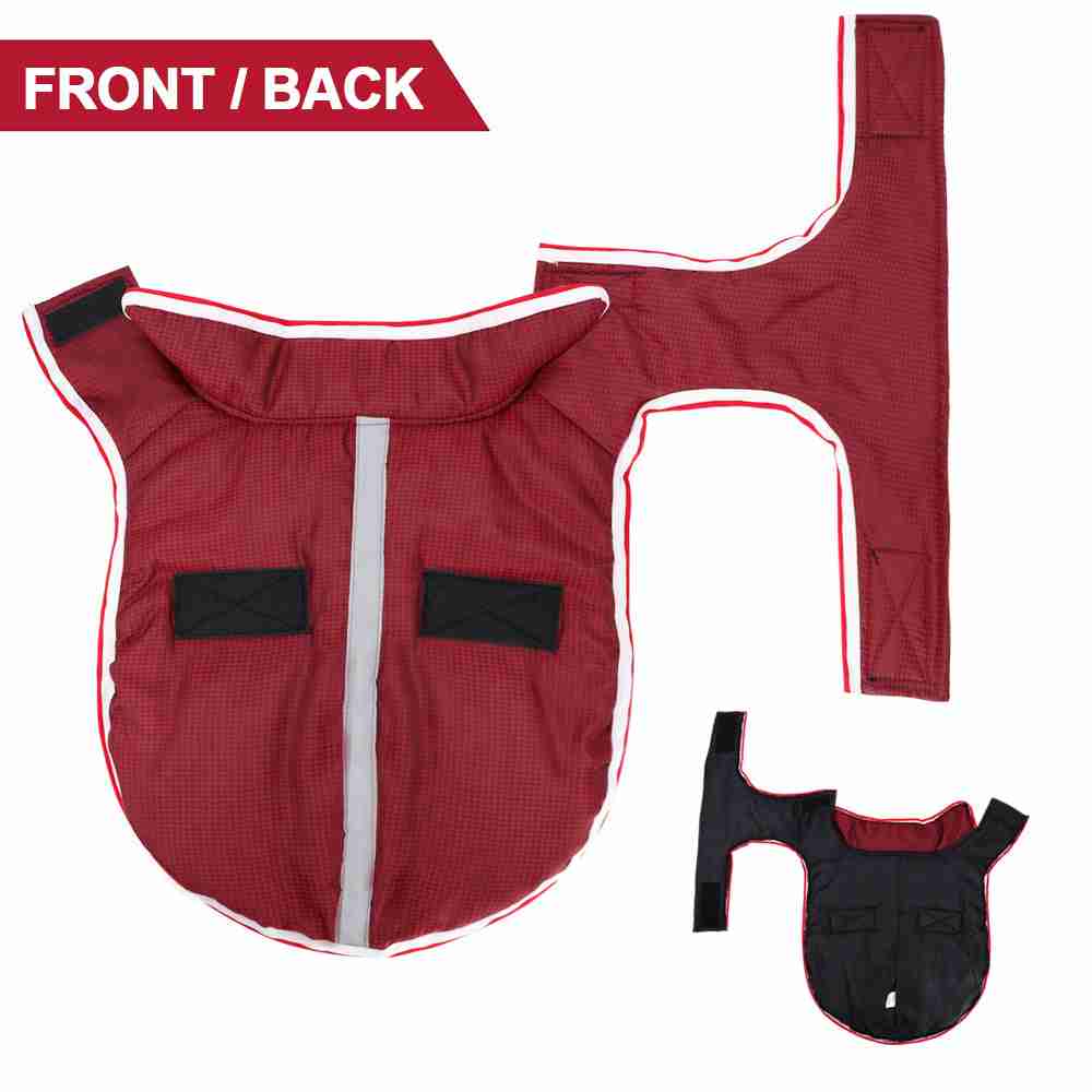 Red waterproof pet jacket with black accents, front view