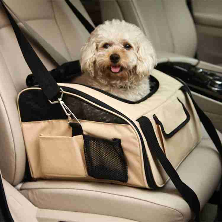 Pet carrier with dog in car seat bag for travel