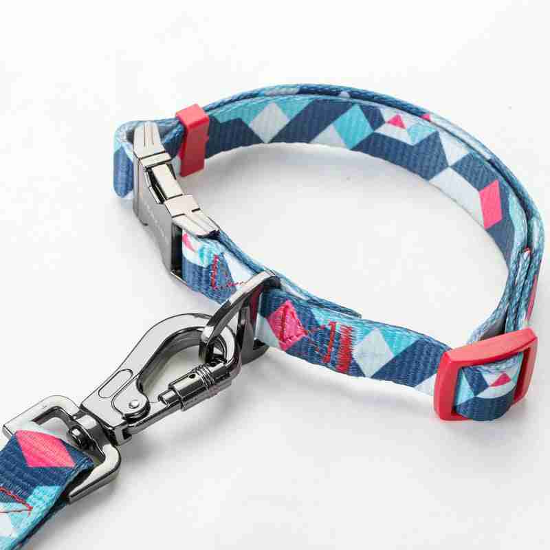 Dog collar with patterned leash